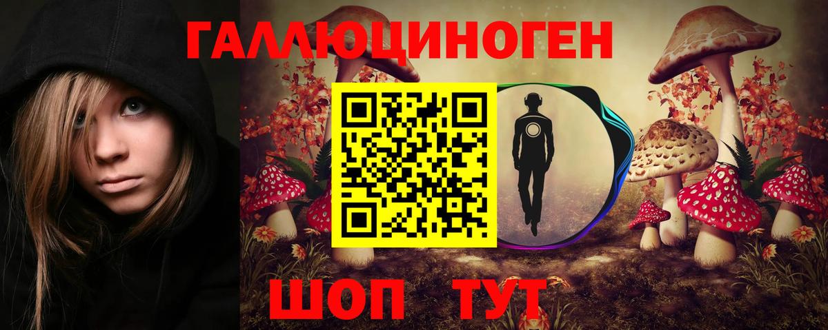 Псилоцибиновые грибы Magic Shrooms  Псилоцибиновые грибы Psilocybine cubensis  Дивногорск  Вход с VPN 
